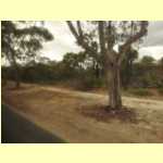 perth0210.jpg