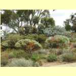 perth0216.jpg