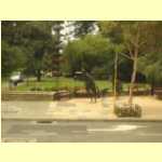 perth0242.jpg
