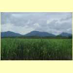 cairns0004.jpg