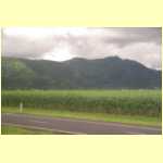 cairns0036.jpg