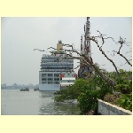 cochin0007.jpg