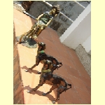 cochin0031.jpg