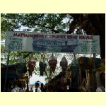 cochin0032.jpg