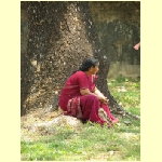 cochin0035.jpg