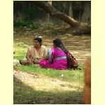 cochin0036.jpg