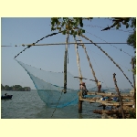 cochin0068.jpg