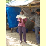 cochin0078.jpg