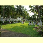 cochin0085.jpg