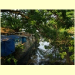 cochin0089.jpg