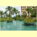 guam0048.jpg