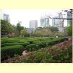 hongkong0092.jpg