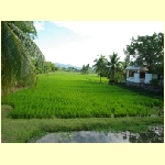langkawi0003.jpg
