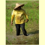 langkawi0014.jpg