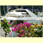 langkawi0082.jpg