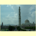 muscat0005.jpg