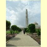 muscat0006.jpg
