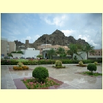 muscat0054.jpg