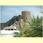 muscat0064.jpg