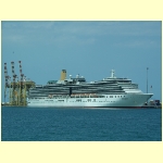 muscat0068.jpg