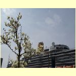 nagasaki0090.jpg
