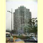 shanghai0007.jpg