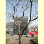 tianjin0008.jpg