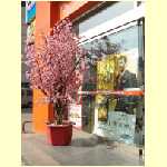 tianjin0018.jpg