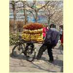 tianjin0029.jpg
