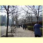 tianjin0046.jpg