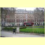 windsor0002.jpg
