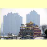 PMGP0595.JPG