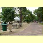 IMGP3920.JPG