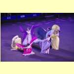 DMGP1360.jpg