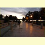 PB040370.jpg