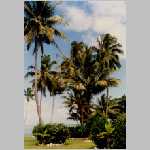 Image3.jpg