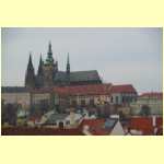 IMGP9726.JPG